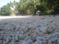 /album/geologia-/a01-baucau-timor-2012-113-jpg/